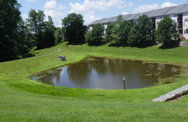On a sunny day, a stormwater pond surrounded by mowed grass embankments sits behind townhomes. 