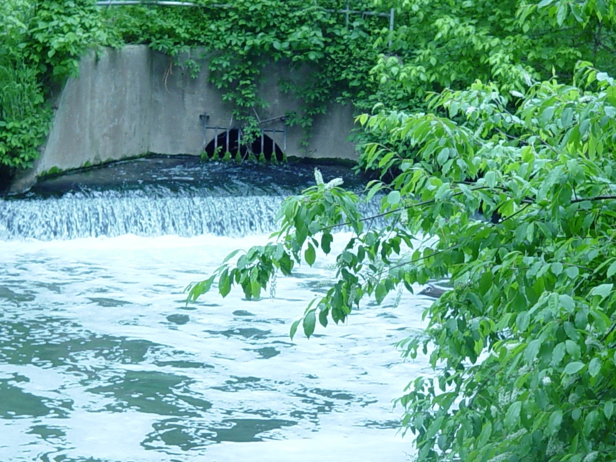 Little Patuxent Water Reclamation Division 1