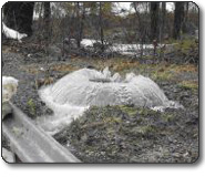 Sewer Manhole Overflow