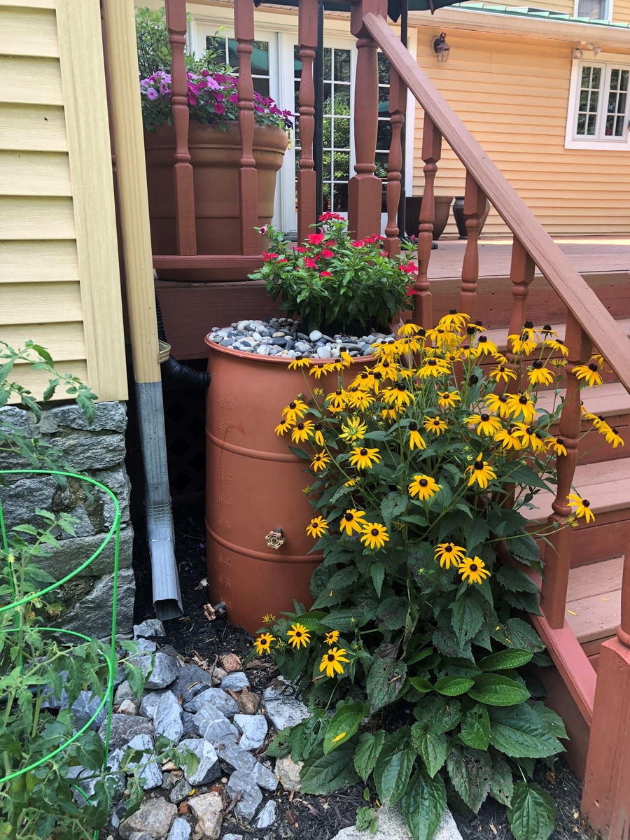 rain barrel patuxent ridge