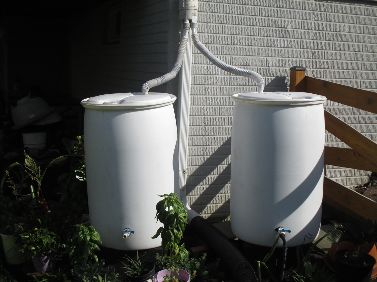 rain barrel carr court