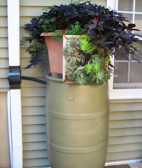 rain barrel belleview