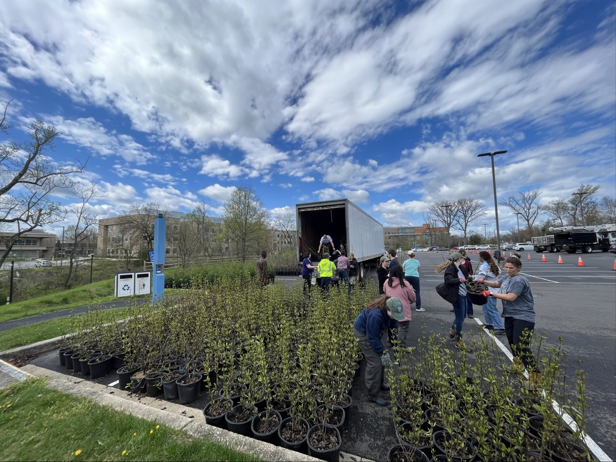 Trees for Bees Giveaway