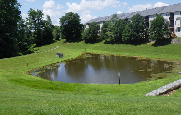 On a sunny day, a stormwater pond surrounded by mowed grass embankments sits behind townhomes. 