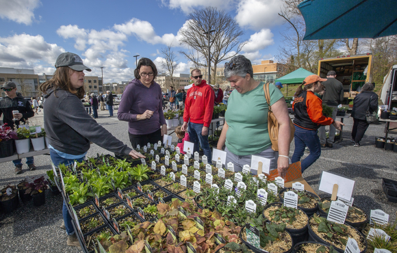 visitors purchasing native plants at greenfest