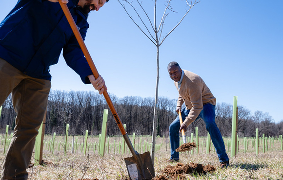 A photo of County Executive Calvin Ball and Maryland Secretary of Natural Resources Joshua Kurtz planting a tree.