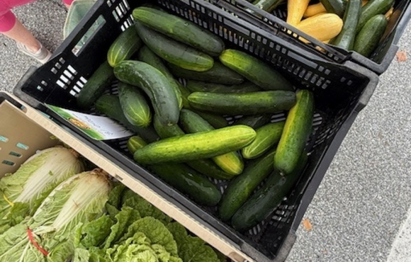 bins with cucumbers and other vegetables
