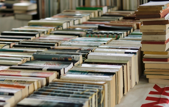 Many books lined up in a row on a table.
