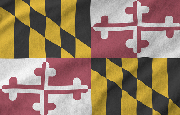 Maryland state flag