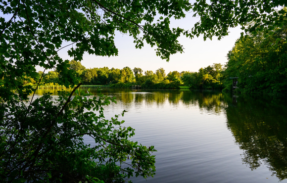 A photo of a lake and trees.