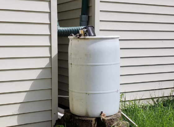 rain barrel
