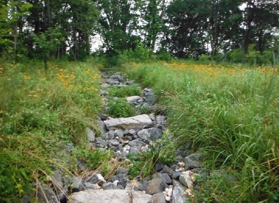 Stone stormwater outfall channel surrounded by wildflower meadow grasses.