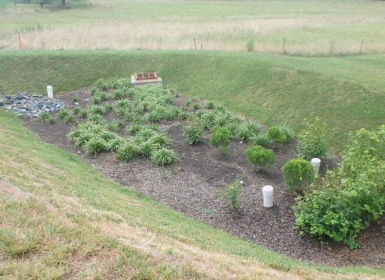 micro-bioretention cropped
