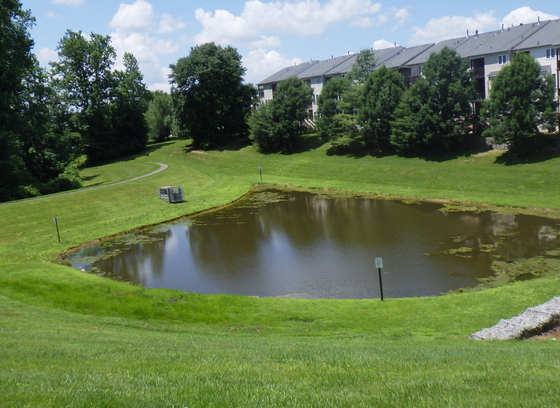 On a sunny day, a stormwater pond surrounded by mowed grass embankments sits behind townhomes. 