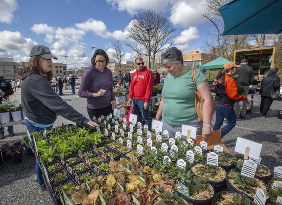 visitors purchasing native plants at greenfest