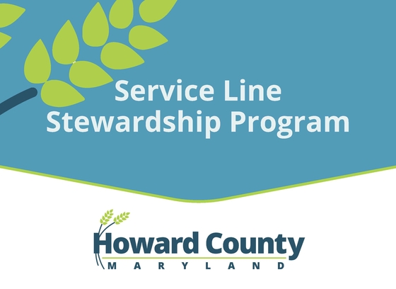 Logo of the Service Line Stewardship Program