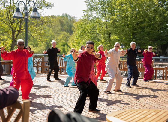 People doing Tai Chi in the park