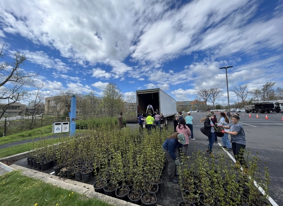 Trees for Bees Giveaway