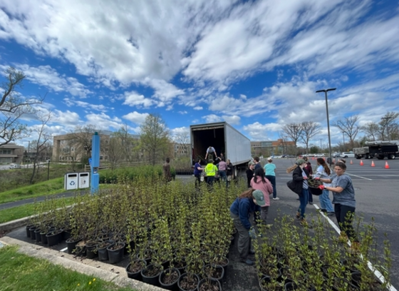 Trees for Bees Giveaway