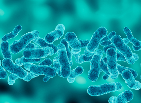 Microscopic magnification of Legionella