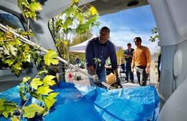 Calvin Ball placing tree into car