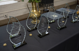 Getting Ahead awards