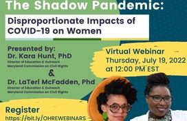 Shadow Pandemic Webinar