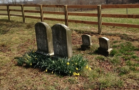 Cemetery Preservation Advisory Board