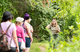group of ladies on a hike