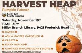 pumpkin palooza 2023