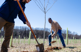 A photo of County Executive Calvin Ball and Maryland Secretary of Natural Resources Joshua Kurtz planting a tree.