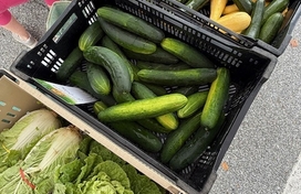 bins with cucumbers and other vegetables