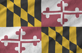 Maryland state flag