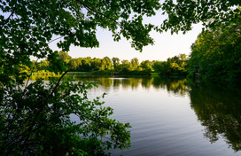 A photo of a lake and trees.