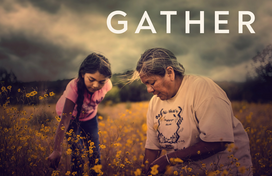 A woman teaches a child how to pick specific medicinal yellow flowers in a field.