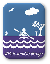 PAXChallenge