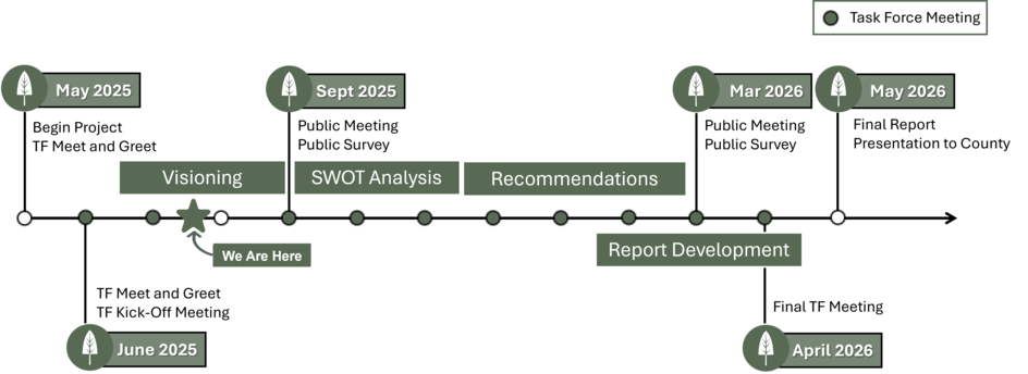 New Town Task Force July 2025 Timeline Graphic