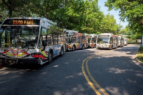 Buses lined up that are Maryland themed