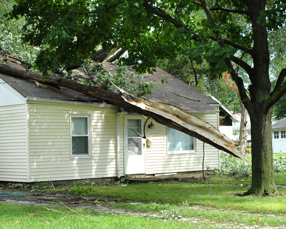 Large fallen tree crushing the roof of a house, with branches and debris scattered across the yard.
