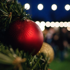green christmas tree branches in the foreground adorned with a gold ball and a red ball ornament and white string lights glowing the background
