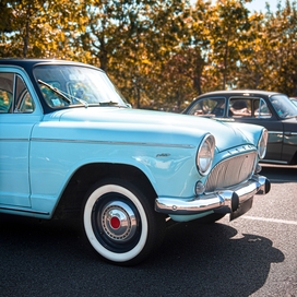 an older model turquoise car is parked by a black car a couple stalls away with golden-hued trees in the background